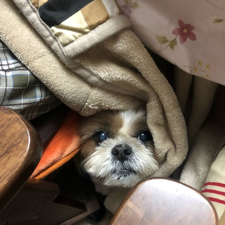 3fb31eb4 2bd1 4d7e 92e6 521247f633ed 1578699770589