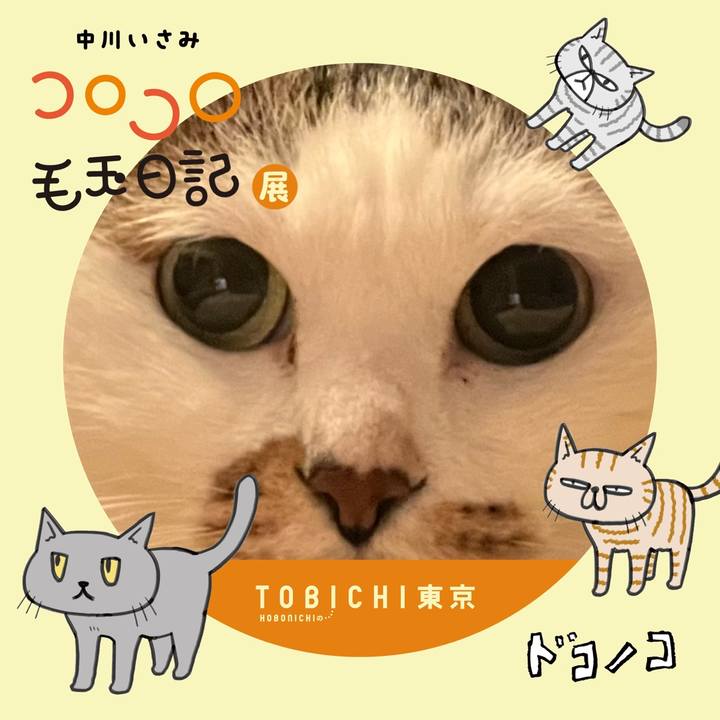 3fb330a7 be8e 44e9 842d a115f59b0cae 1740223670973