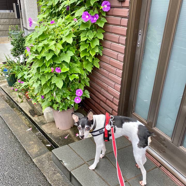 3fb34fa9 007e 488c 87ff b0d958c138b6 1595888161882