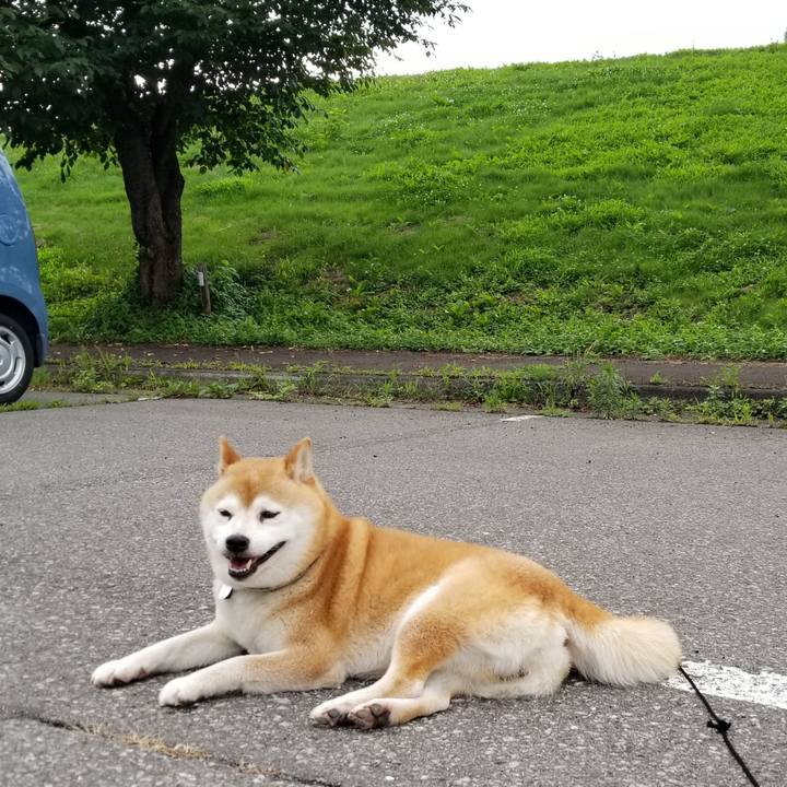 3fb36d35 93ea 4a53 b41d 41a6bd49e6ae 1625558751341