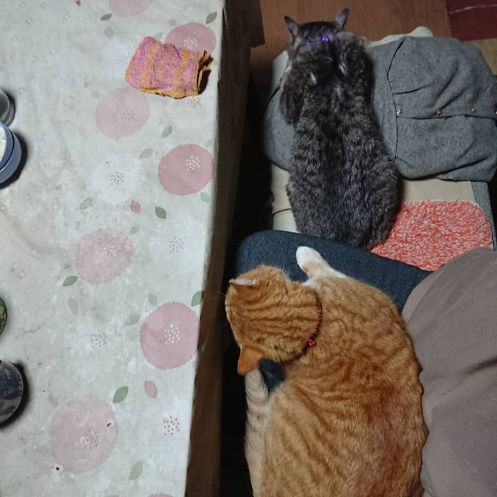 3fb387c0 949a 4060 acd7 41193f31d17d 1577963020955