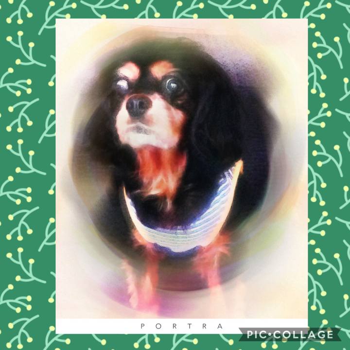 3fb39905 5f08 4b1d b42f cdd9824226bf 1576409808279