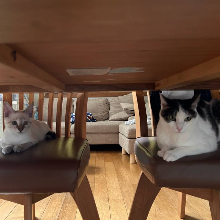 3fb39fb8 c692 4d43 8779 b5d141557c69 1724709616501