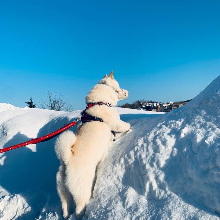 3fb3b93e b32f 48ae b698 a1a5f2eee671 1677969276265