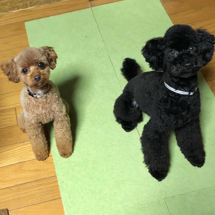 3fb4071c f796 4b52 9bf9 259315dce5c1 1546690744306