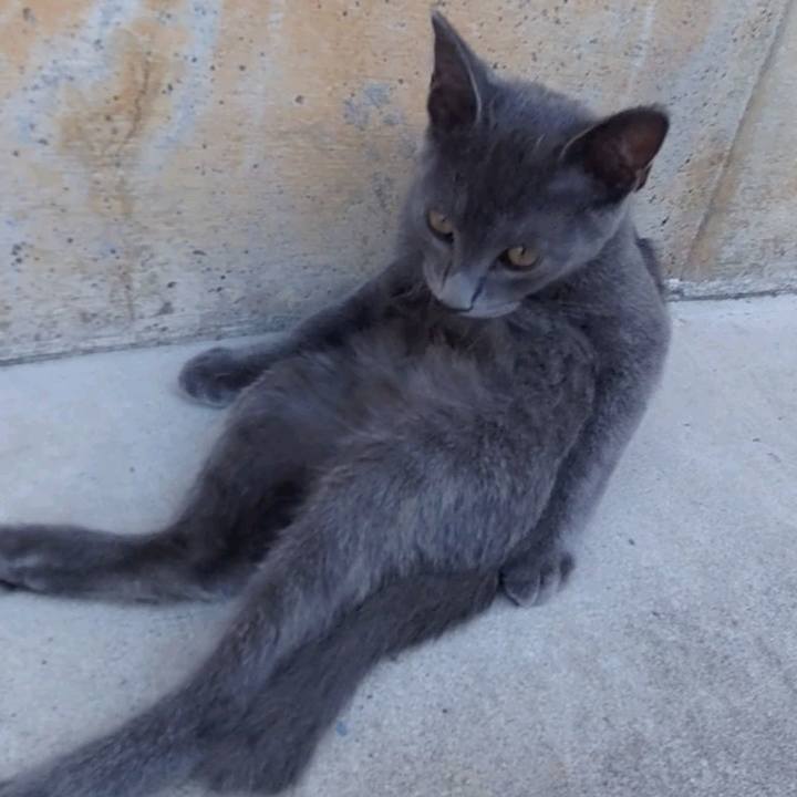 3fb435e5 4f55 4a18 9711 8a71277652b1 1628065430639