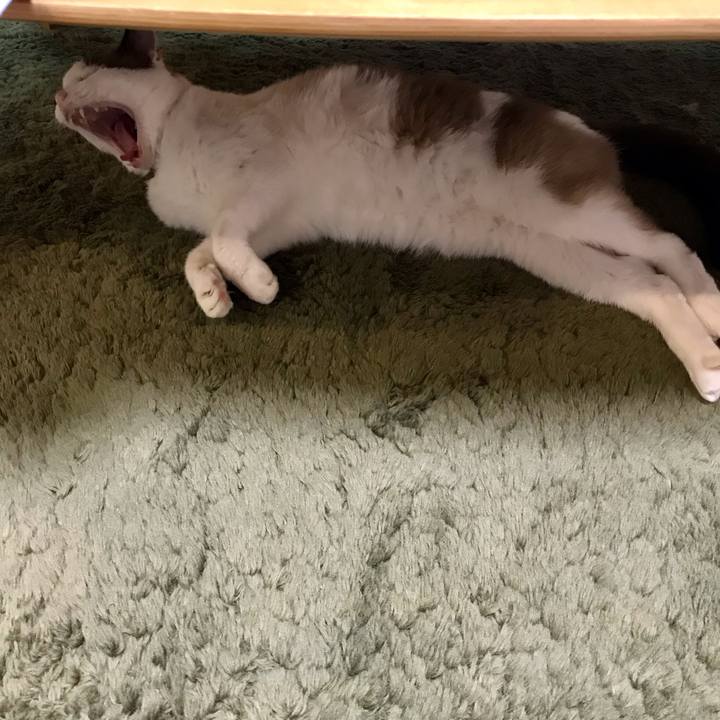 3fb4638b b6d1 4026 a1ff 755f098d27e1 1627434287592