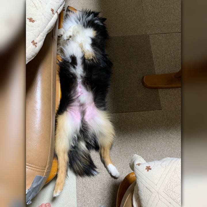 3fb464cc 5214 4376 ade7 766eb75a96de 1550321096061