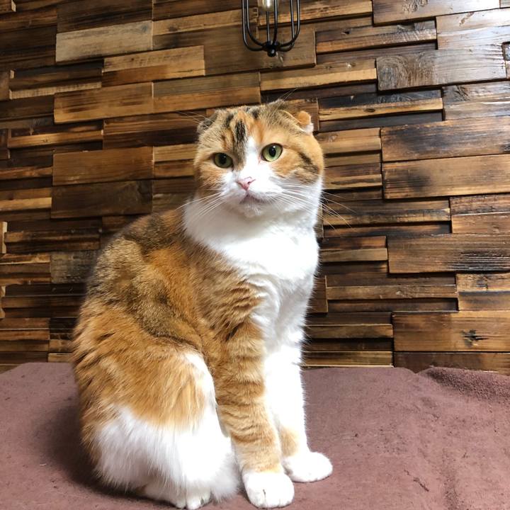 3fb4ab7b 949e 4fa2 925c d1c55868e6d6 1621518784825