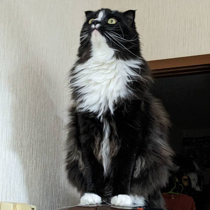 3fb4da49 db49 4d74 bcba 965275ec2add 1682252225030