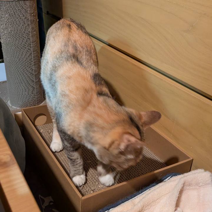 3fb5207a d587 4f75 81e3 28eb44f84efc 1766341608254