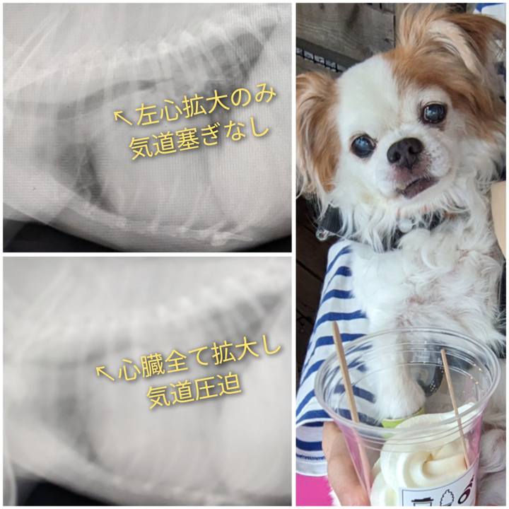 3fb53af9 41bd 4ba9 b983 c5a1e450f093 1685459754010