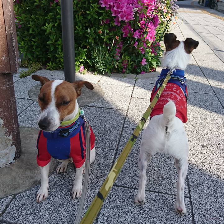 3fb55dc6 3e7a 48f9 911f 7faf0dbe877e 1557179905603