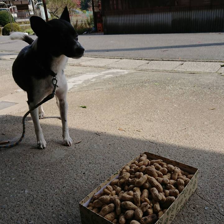 3fb565a0 fe47 466f ba8b c81f3de40b7a 1509339955486