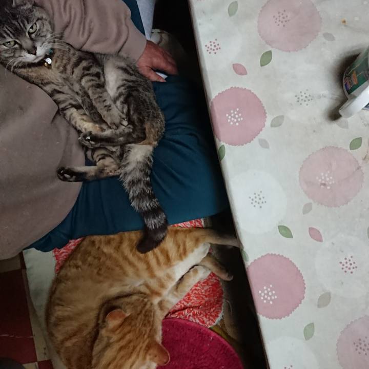 3fb56ad4 b210 468d a9f5 dd70e14f9595 1555805254253