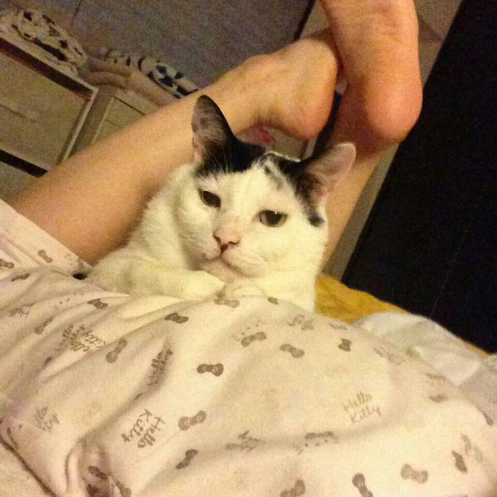 3fb577f6 c703 4ceb 987f 474e40541d81 1534666388143