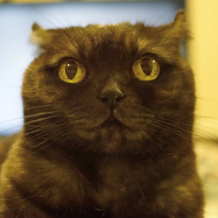 3fb58881 77e9 4610 8f8e a62adc584843 1568385268003