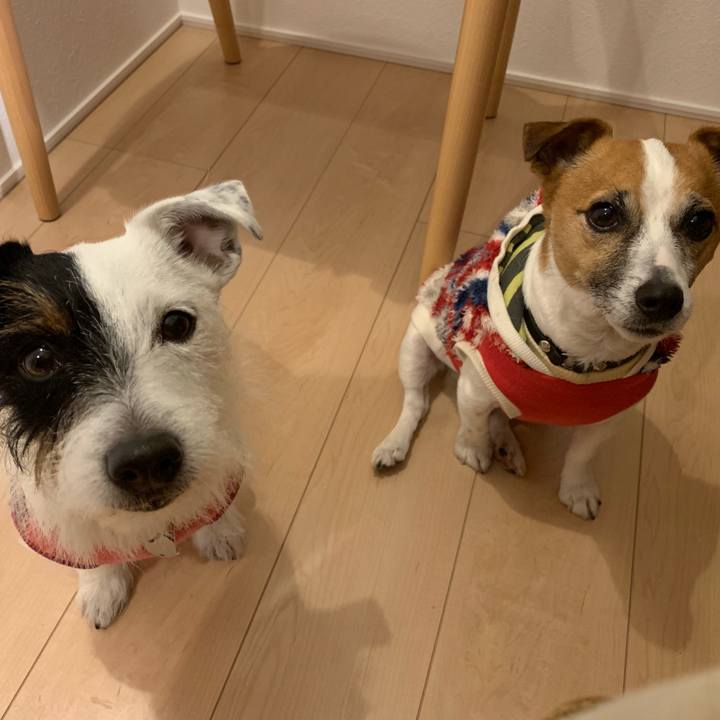 3fb58d3f f202 459c b4aa b97edc038bea 1548854469935