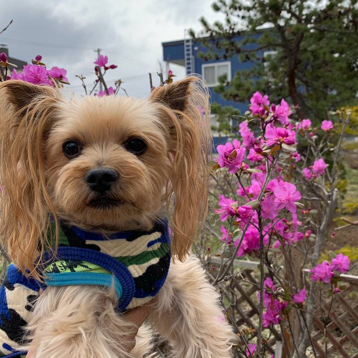 3fb5c19c 45c9 4c92 98ea b102aa0864ca 1556441750282