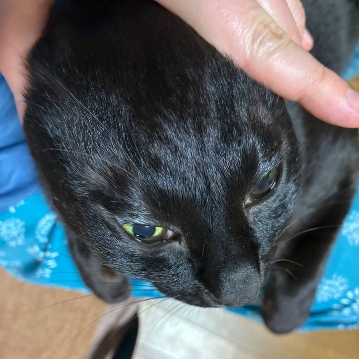 3fb5d61b 1c7c 4d3e a63f 3f2e97a59eb2 1749557339152