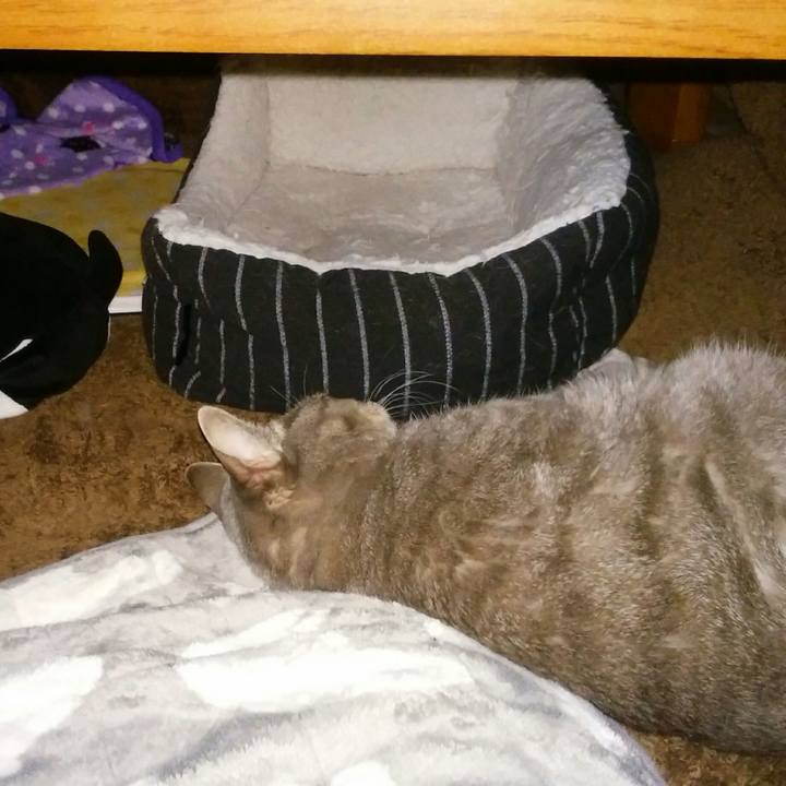 3fb5e86a ee42 43c9 972a 737efa9264b3 1575643143390