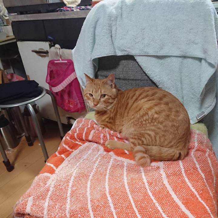 3fb67659 4725 4bfb a3cb b487fea425aa 1643242426565