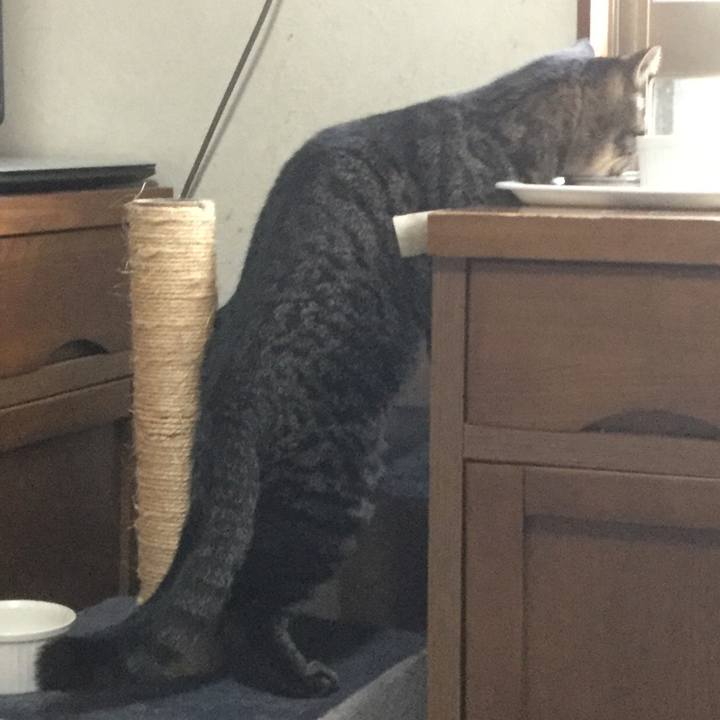 3fb68e48 f59d 4832 b661 e039e3f5aae5 1556949237383