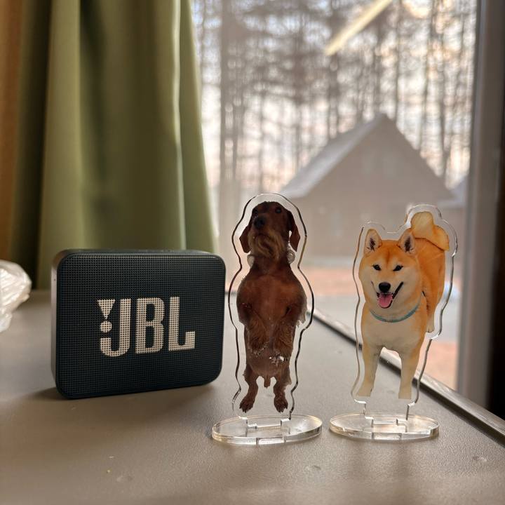 3fb6917d 4569 49ca 821e ea8892caeb67 1767181296717