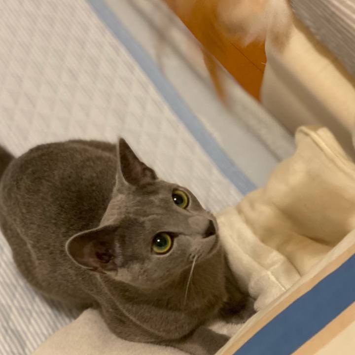 3fb6ae36 186a 480f 9bef a28fe6c644e7 1623411650848