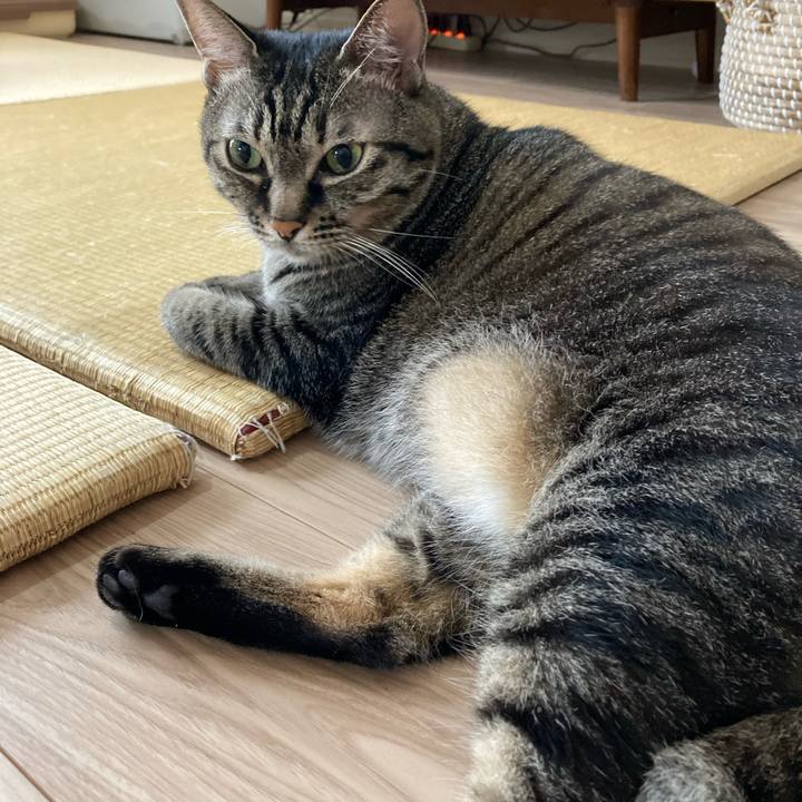 3fb6b552 5860 4c1a ab10 938161091452 1601081858561