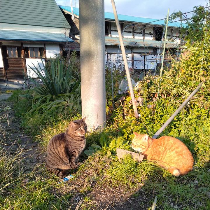 3fb6f112 6d6a 4438 8888 0191f5f4e828 1761722185800