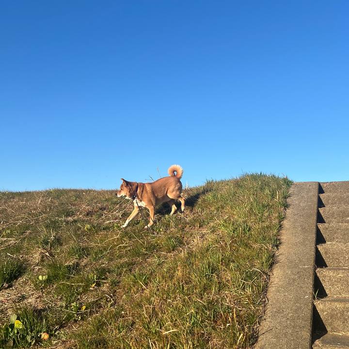 3fb71783 605f 4d17 807c 1ca76add9ecc 1739588050784