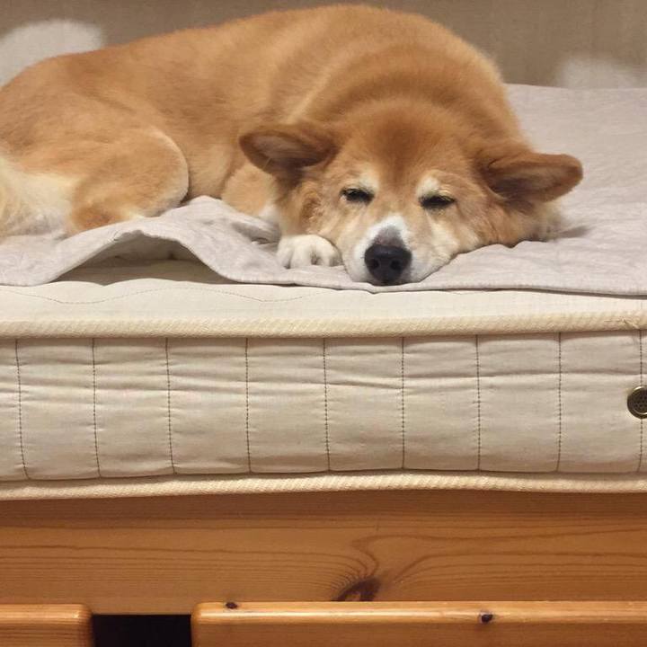 3fb73f56 9ec4 490f 9a28 858d442608da 1533037563597