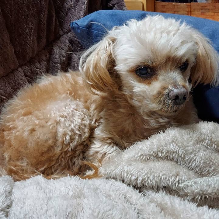 3fb770d0 8ed1 4785 a644 d9417463f45e 1739184908340