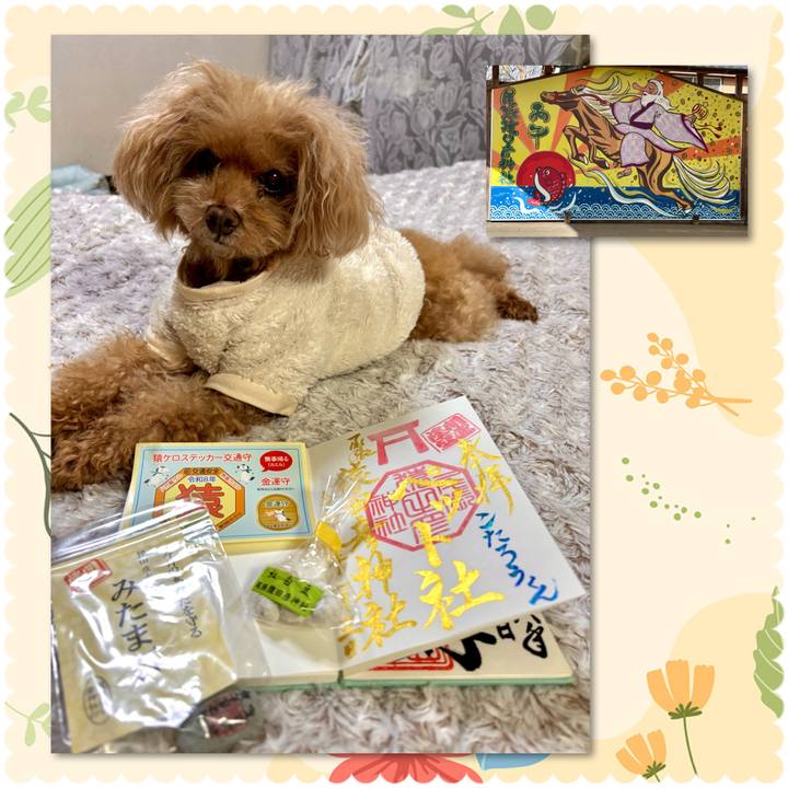 3fb791e4 5bc9 4853 9d2b 61f99619a31f 1767438221615