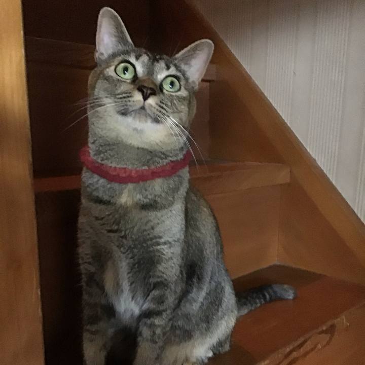 3fb7c6b1 e777 4b75 96cd 926f73a4aaeb 1600426914990