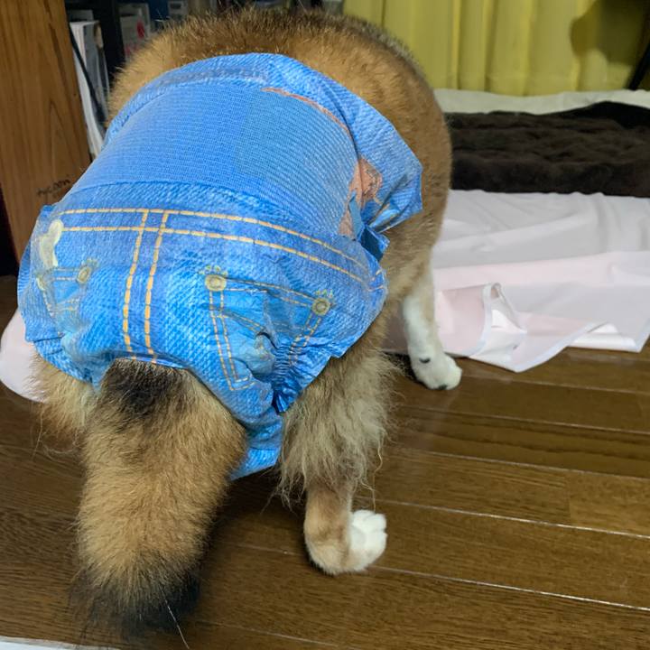 3fb84e57 63ca 4650 8df3 82ec2f99a22f 1687869134298