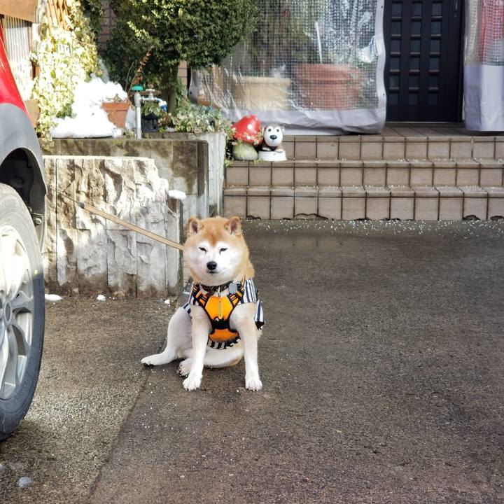 3fb8594b 69e2 47ba a4ac 2d33012cfba7 1643431673148