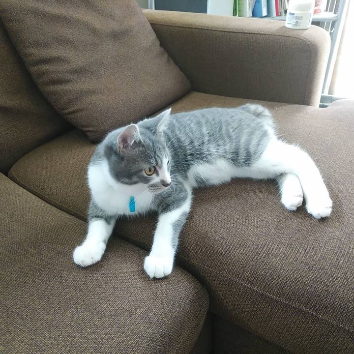 3fb86b13 4c26 4335 8cfc 7d2ac5fc4212 1570412508057