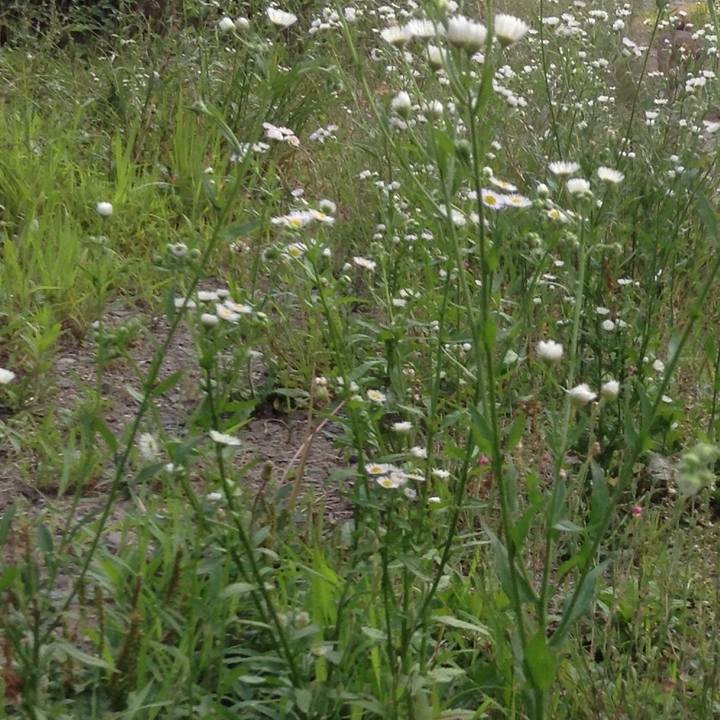 3fb880fd 3bde 4213 983b 34ae7b470726 1528534060436