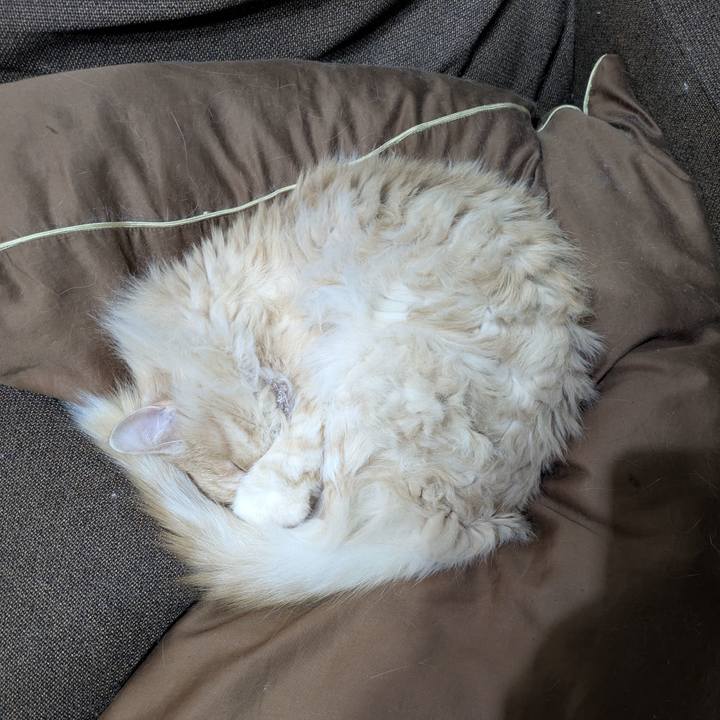 3fb8b14a 2433 4bbb 95e2 c9e751f3ac16 1774350038339