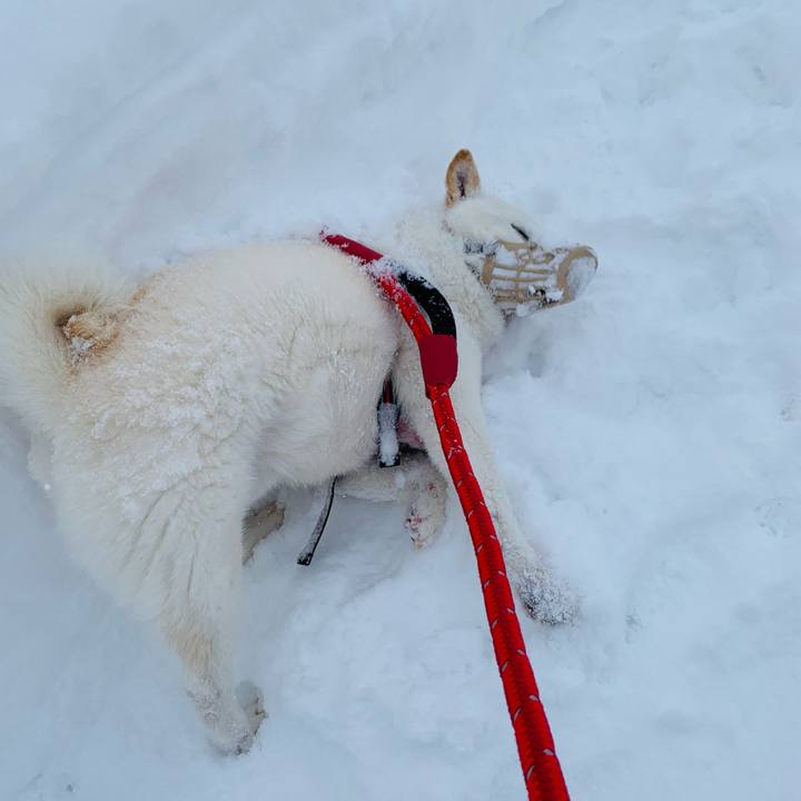 3fb8c13d 95f3 4106 8604 f63d6d0c87a5 1643698644787