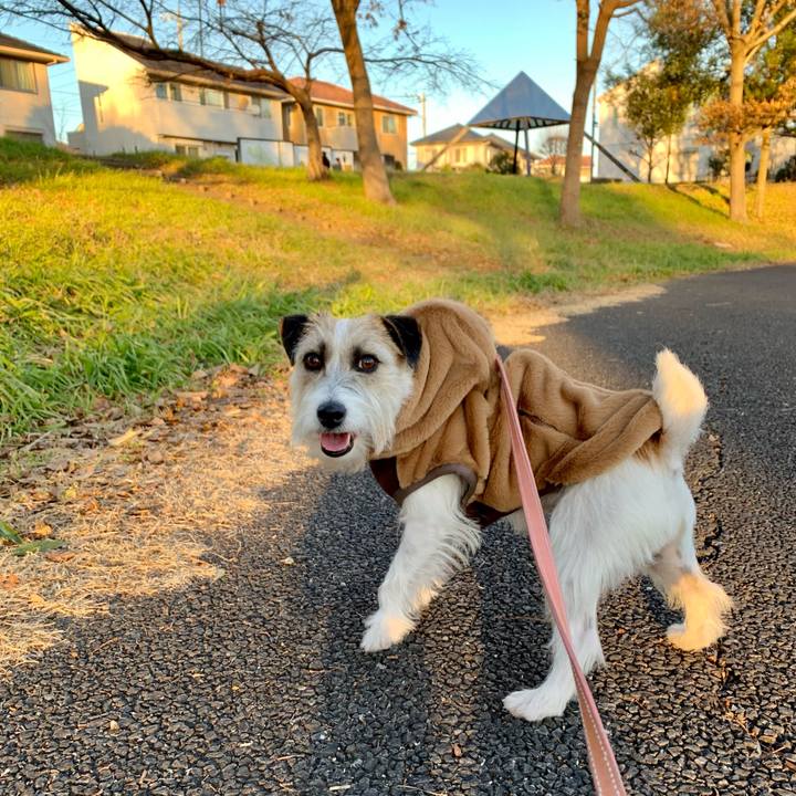 3fb8e739 a599 4b8a 9904 9d8b3c2f8811 1674301871357