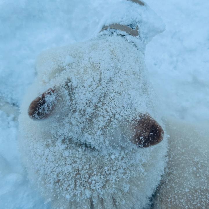 3fb8edb8 5db8 420b b510 9e61b89b51fe 1734475804689