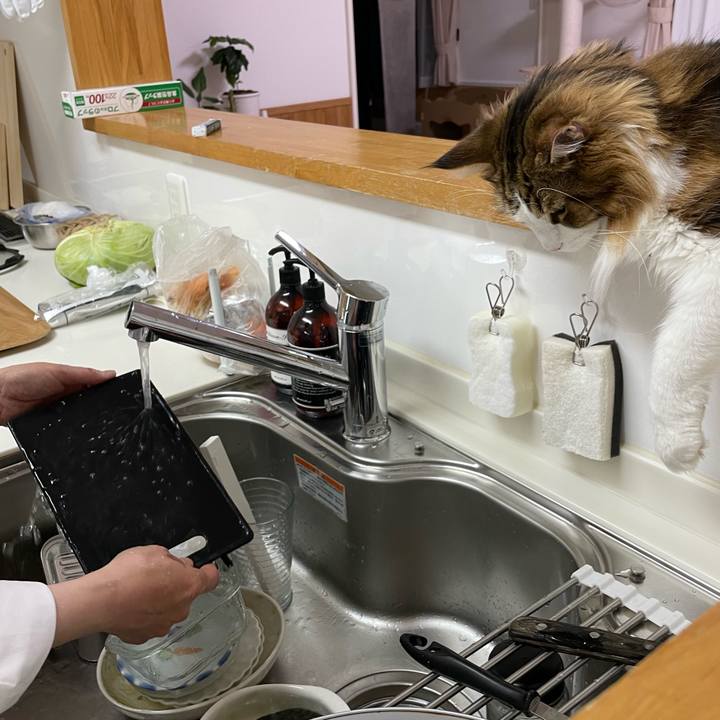 3fb97b1c 36b1 48ce bb3a 0f3b00dd13f8 1666093616729