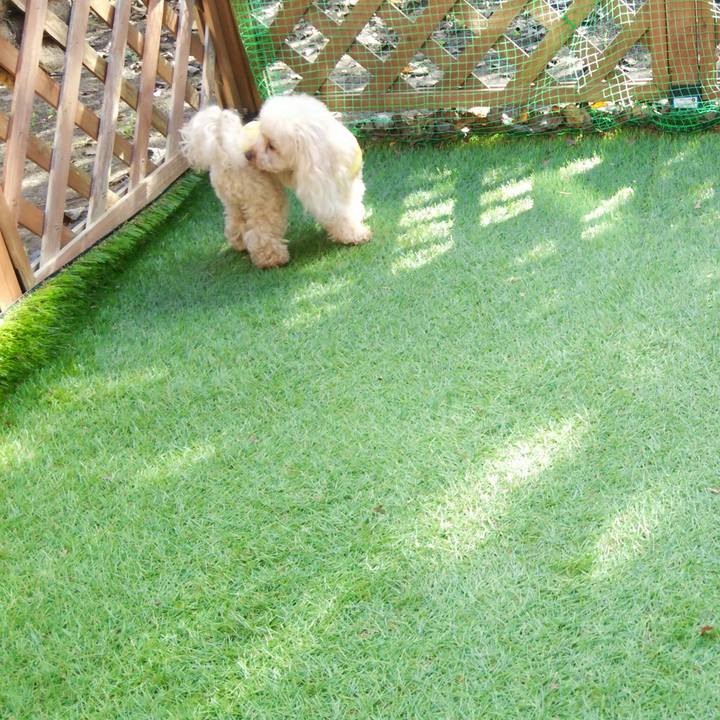 3fb9def0 2093 4103 995c 47ea75ba2de5 1542269462814