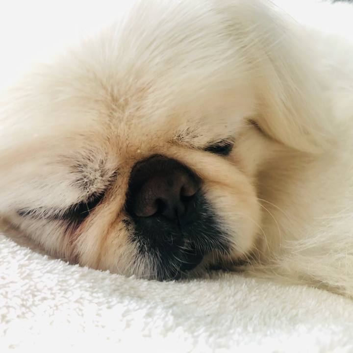 3fb9fe32 a05e 4c34 aa18 93fe8c61b675 1620893266265