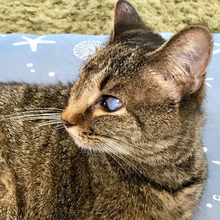 3fba34a3 125d 41b1 aa6f d003e9e3b165 1564792659101