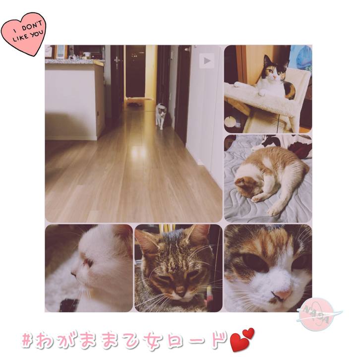 3fba34a5 3ede 4961 8a2d 52b66d20130e 1568545726922