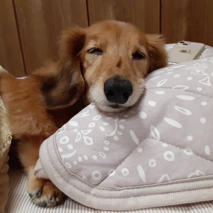 3fba4b74 8a21 4a28 a0dc 8a0b543f5121 1668430840751